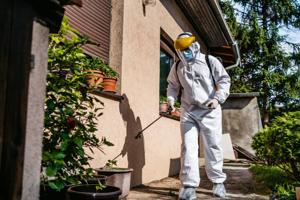 Best Insect Control  in Passapatanzy, VA