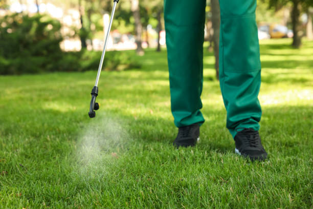 Wasp Removal Services in Passapatanzy, VA