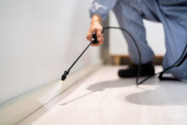 Best Flea Control Services  in Passapatanzy, VA
