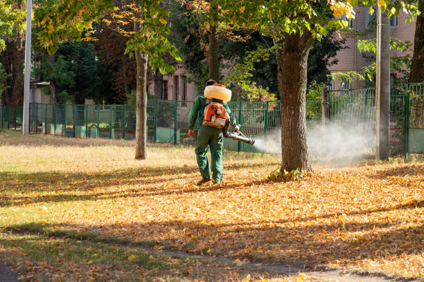 Best Commercial Pest Control Services  in Passapatanzy, VA