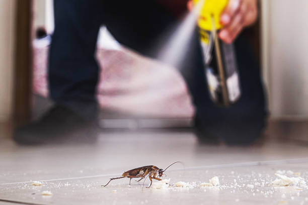 Best Rodent Control Near Me  in Passapatanzy, VA